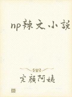 np辣文小说