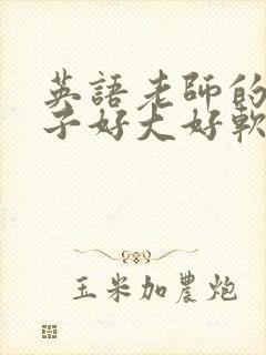 英语老师的小兔子好大好软水