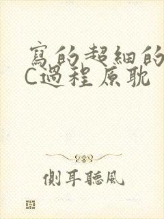 写的超细的多肉C过程原耽