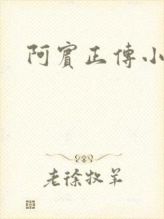 阿宾正传小说