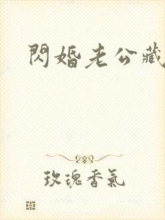 闪婚老公藏不住