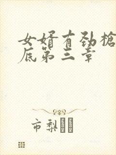 女婿有劲枪枪到底第三章