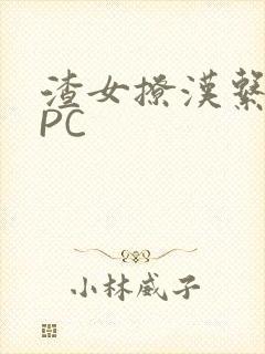 渣女撩汉系统NPC