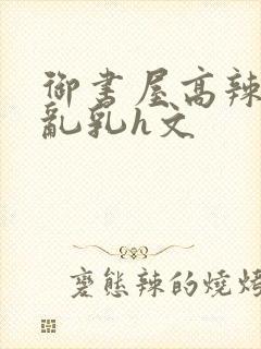 御书屋高辣h文乱乳h文