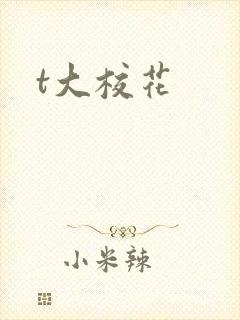 t大校花