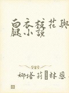 白衣校花与大长腿小说