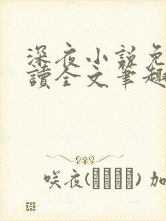 深夜小说免费阅读全文笔趣阁