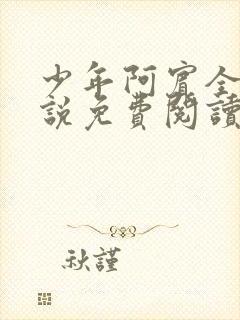 少年阿宾全文小说免费阅读笔趣阁