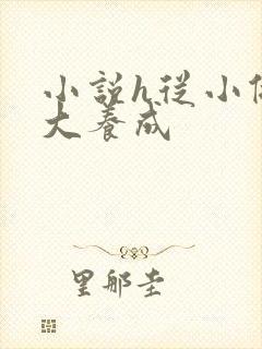 小说h从小做到大养成