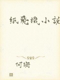 纸飞机小说