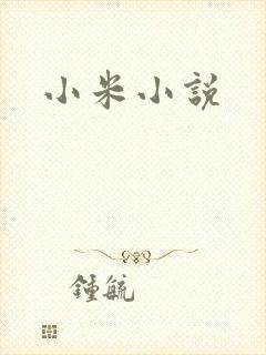 小米小说