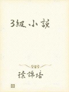 3级小说