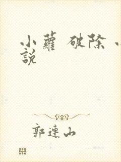 小萝 破除 小说