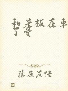 和老板在车里做了爱