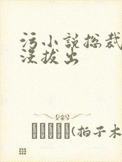 污小说总裁整夜没拔出