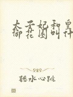 太子妃和皇帝在御花园叫什么小说