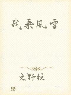 我乘风雪