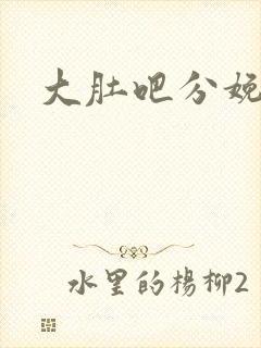 大肚吧分娩小说