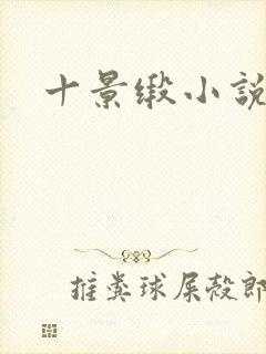 十景缎小说