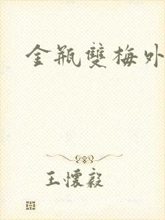 金瓶双梅外传