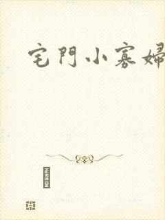 宅门小寡妇