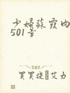 少妇苏霞肉欲第501章