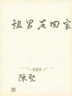 租男友回家过年