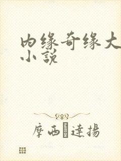 内缘奇缘大团圆小说