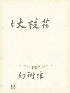 t大校花
