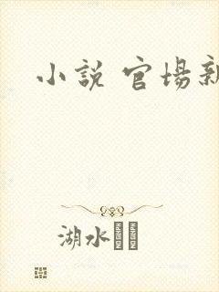 小说 官场新贵