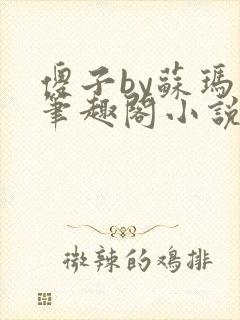 傻子by苏玛丽笔趣阁小说