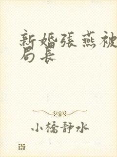 新婚张燕被两个局长