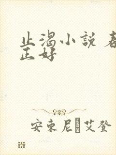 止渴小说 春光正好