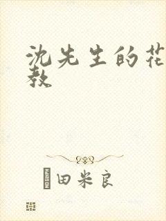 沈先生的花式管教