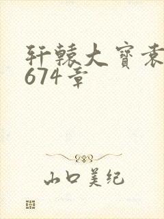 轩辕大宝袁雪妃674章