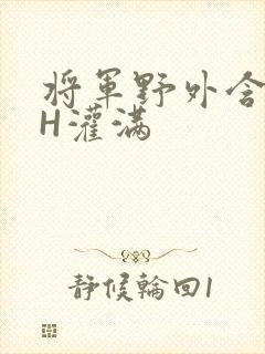 将军野外含公主H灌满