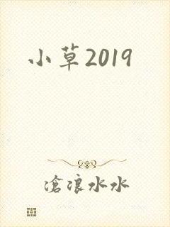 小草2019