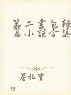 第二书包辣网短篇小说合集