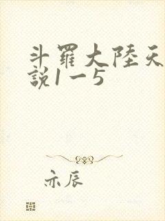 斗罗大陆天狂传说1一5