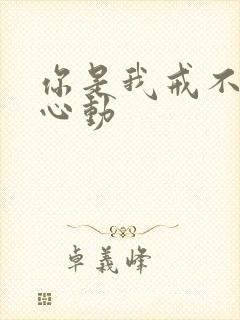 你是我戒不掉的心动