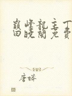 巅峰龙主丁长顺田晓兰免费阅读