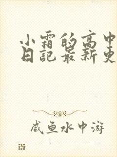 小霜的高中成长日记最新更新