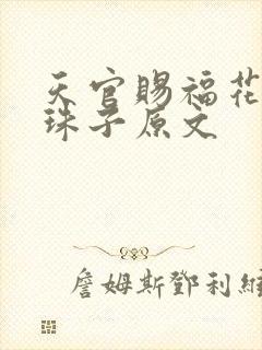 天官赐福花怜塞珠子原文