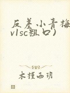 反差小青梅(1v1sc粗口)