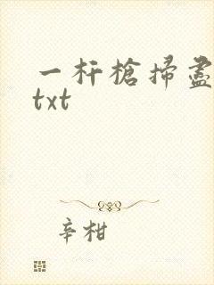 一杆枪扫尽全家txt