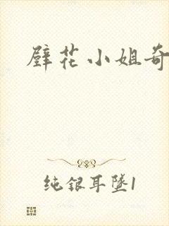 壁花小姐奇遇记