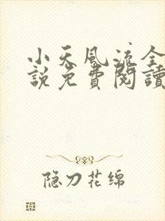 小天风流全集小说免费阅读