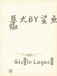 恶犬BY鲨鱼辣椒