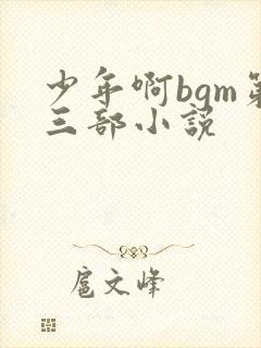 少年啊bgm第三部小说