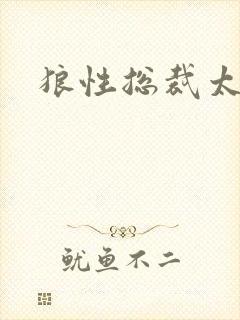 狼性总裁太凶猛